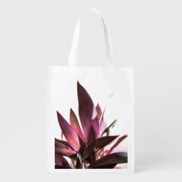 Sacola Ecológica folheto