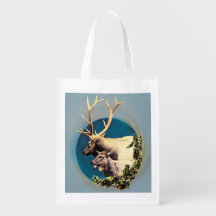 O Stag e o Hind