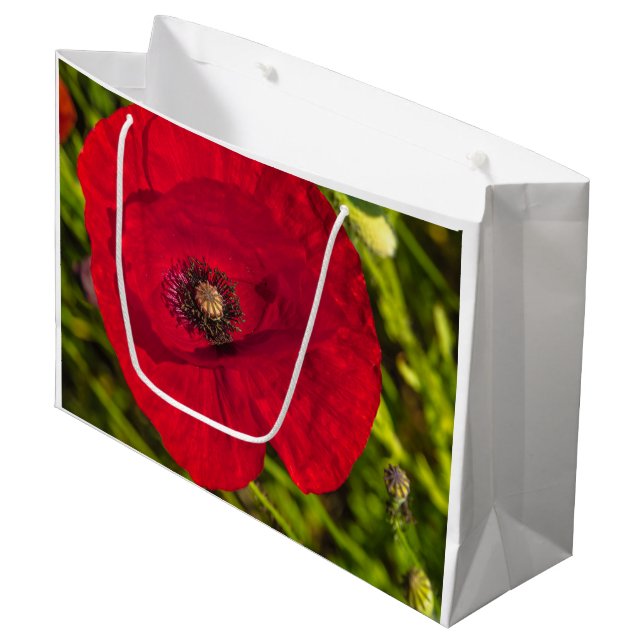 Sacola Para Presentes Grande A série de papoila nº 2 (Frente inclinada)