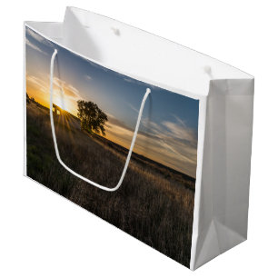 Sacola Para Presentes Grande Abandonado Shed Colorado Sunset Gift Bag