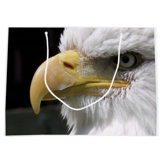 SACOLA PARA PRESENTES GRANDE ÁGUA ÁGUA DE PRESA (Frente)