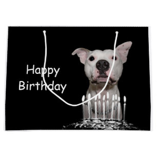 Sacola Para Presentes Grande Aniversário branco de Pitbull