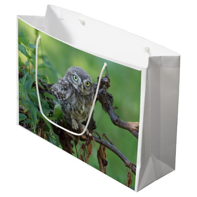 Sacola Para Presentes Grande Athene noctua (Frente inclinada)