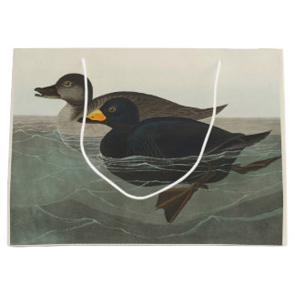 Sacola Para Presentes Grande Audubon American Scoter Duck Bird Painting