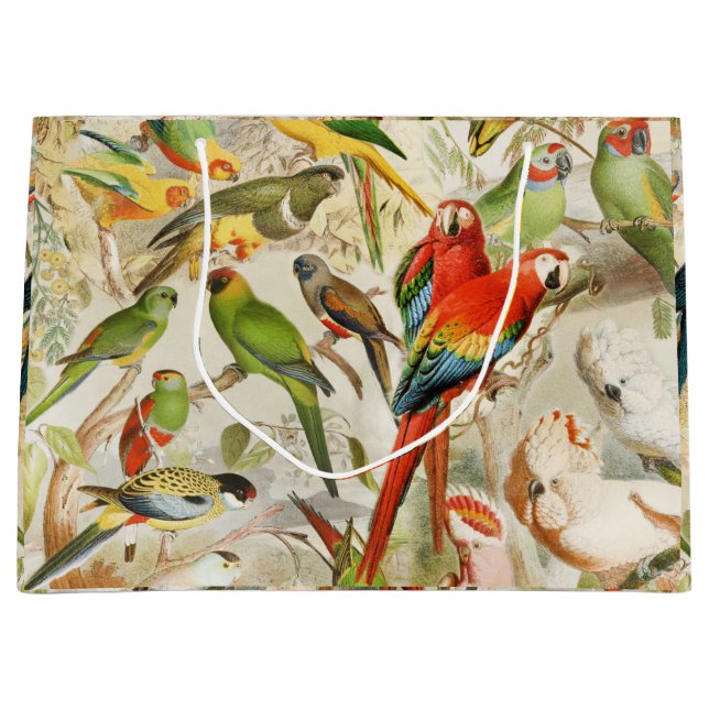 Sacola Para Presentes Grande Aves Tropicais Elegantes Vintage (Frente)