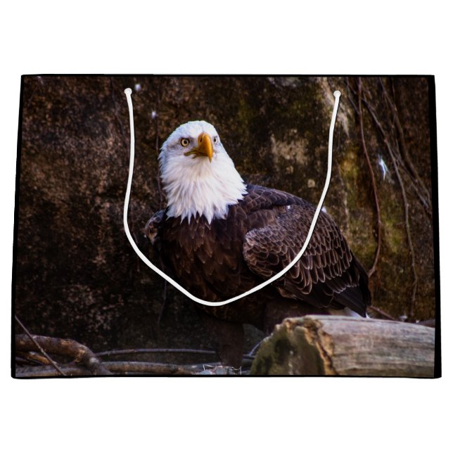 Sacola Para Presentes Grande Bald Eagle (Frente)