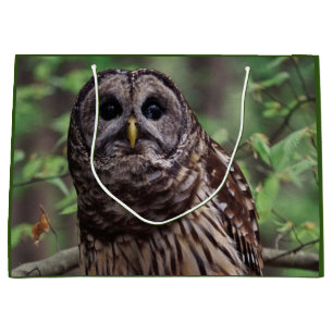 Sacola Para Presentes Grande Barred Owl