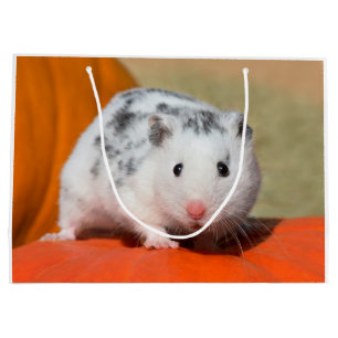 Sacola Para Presentes Grande Belo Hamster Sírio, Negro Encarado Engraçado