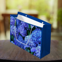 Blue Hydrangea Blooms Floral