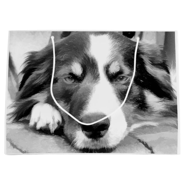 SACOLA PARA PRESENTES GRANDE BORDER COLLIE (Frente)