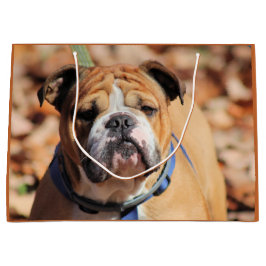 Sacola Para Presentes Grande Buddy Bulldog Gift Bag