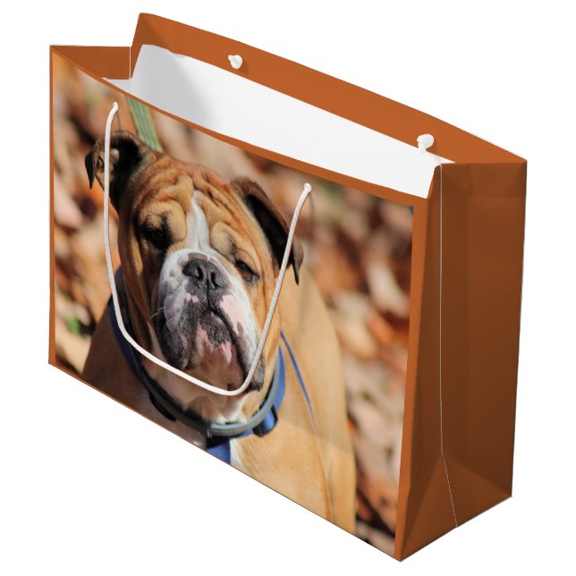 Sacola Para Presentes Grande Buddy Bulldog Gift Bag (Frente inclinada)