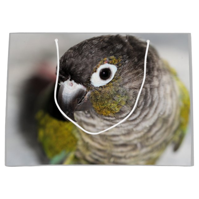 Sacola Para Presentes Grande Burbel (Frente)