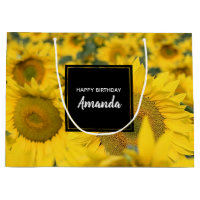 Campo Amarelo de Girassóis Fotografia