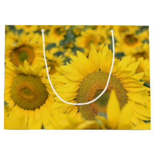 Sacola Para Presentes Grande Campo Amarelo de Girassóis Fotografia