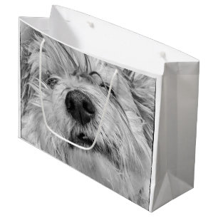 Sacola Para Presentes Grande Cão de Coton de Tulear