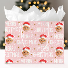 Cara Fofa-em-um-furo Natal Foto Pet Rosa