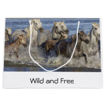 Cavalos galopando na água