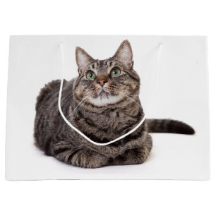 Sacola Para Presentes Grande Cinza Tabby Cat