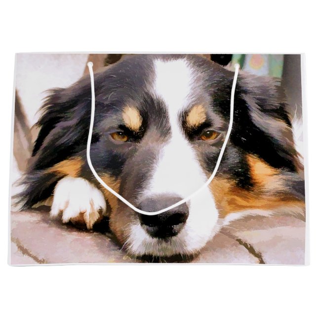 SACOLA PARA PRESENTES GRANDE COLLIAS FRONTEIRIÇAS (Frente)