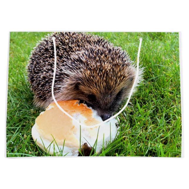 SACOLA PARA PRESENTES GRANDE CUTE HEDGEHOG (Frente)