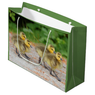 Sacola Para Presentes Grande Cuteness on Parade: Canadá Goslings