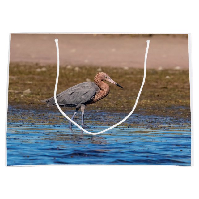 Sacola Para Presentes Grande Egret Reddish em North Beach (Frente)