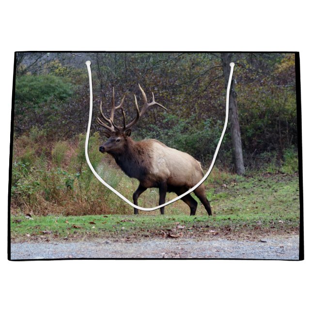 Sacola Para Presentes Grande Elk Gift Bag (Frente)