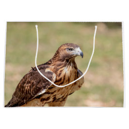 Sacola Para Presentes Grande Falcão de cauda vermelha no Vale do Hudson