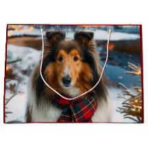 Férias de Collie