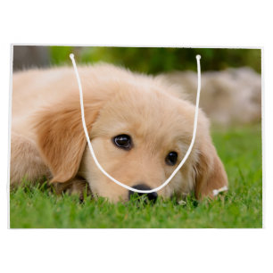 Sacola Para Presentes Grande Filhote de cachorro bonito do golden retriever que