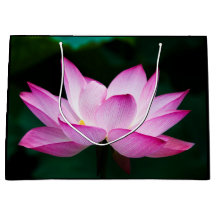 Flor de Lotus Rosa