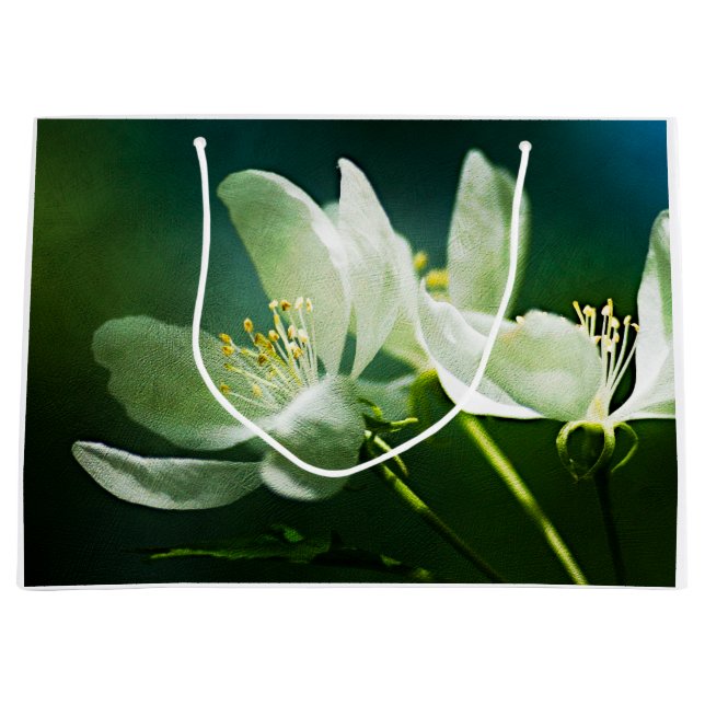 Sacola Para Presentes Grande Flor de Maçã - Duas Flores (Frente)