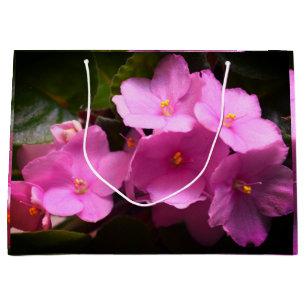 Sacola Para Presentes Grande Flores Rosa Violeta Africaine Saintpaulia