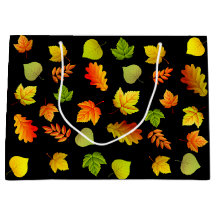 Folhas de outono lindas em preto