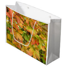 Folhas selvagens da vinha do outono