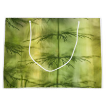 Foto de natureza floral