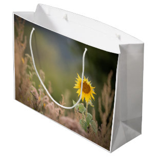 Sacola Para Presentes Grande Foto de Sunflower Nature