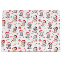 Gatinho elegante doce doce Natal