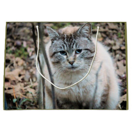 Sacola Para Presentes Grande Gato