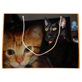 Sacola Para Presentes Grande Gato