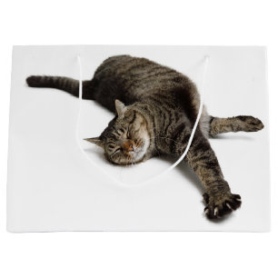 Sacola Para Presentes Grande Gato preguiçoso estendendo