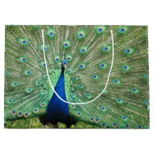 Sacola Para Presentes Grande Gift Bag (Lrg) - Pavão Orgulhoso