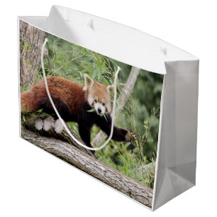 Sacola Para Presentes Grande Gift Bag Photo red panda , animais 0271.