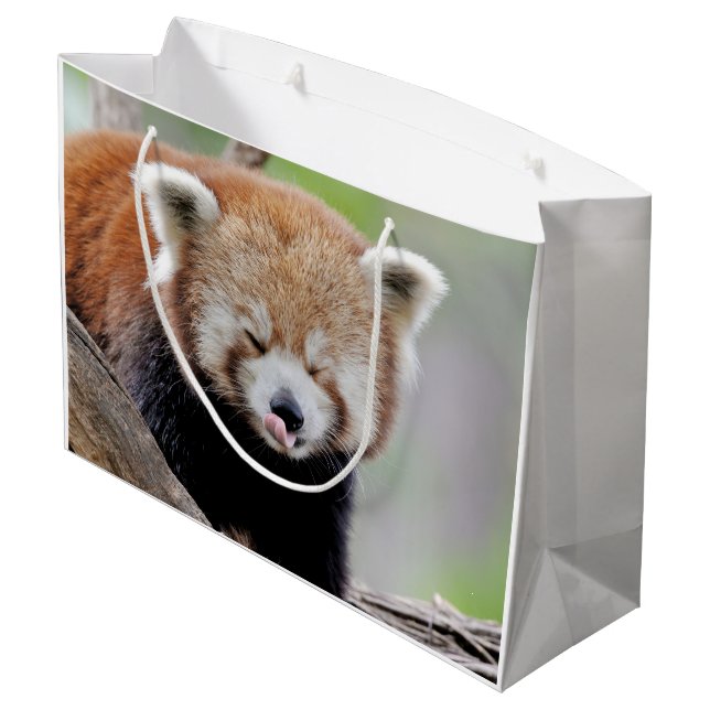 Sacola Para Presentes Grande Gift Bag Photo red panda , animais 0272. (Verso inclinado)