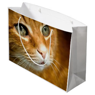 Sacola Para Presentes Grande Ginger Tabby Cat Posicionando Retrato