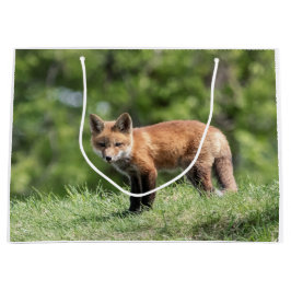 Sacola Para Presentes Grande Jogo do Fox vermelho