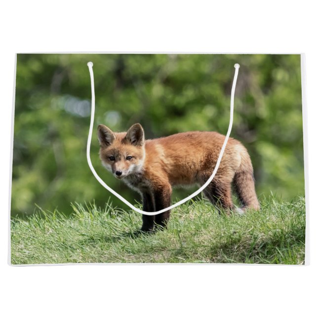 Sacola Para Presentes Grande Jogo do Fox vermelho (Frente)