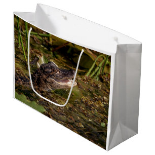 Sacola Para Presentes Grande Jovem Alligator