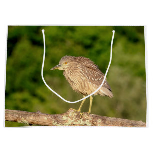 Sacola Para Presentes Grande Juvenile Black Crowned Night Heron